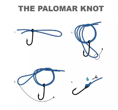 Mastering_The_Art_of_Knot_Tying_The_Palomar_Knot_By_Grim_Reaper_Lures
